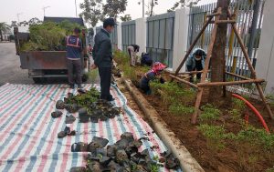 Trees and plants are being planted at Him Lam International School