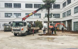 Him Lam International School's school yards being completed